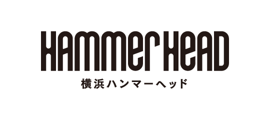 HAMMER HEAD